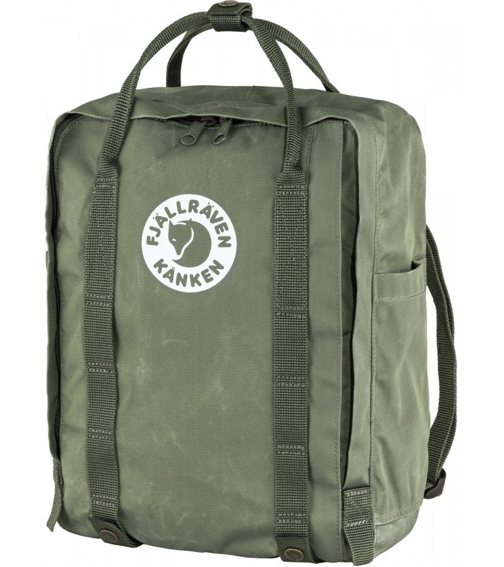 TREE KANKEN Lichen Green