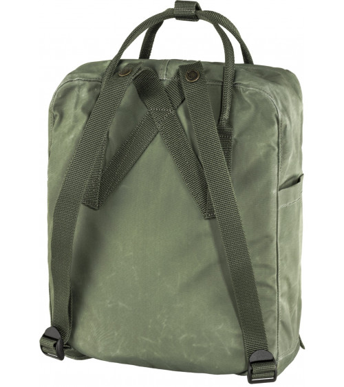 TREE KANKEN Lichen Green